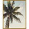 Coconut Palm by Olivia Joy 16-in. W x 20-in. H. Canvas Wall Art Print Framed in Gold